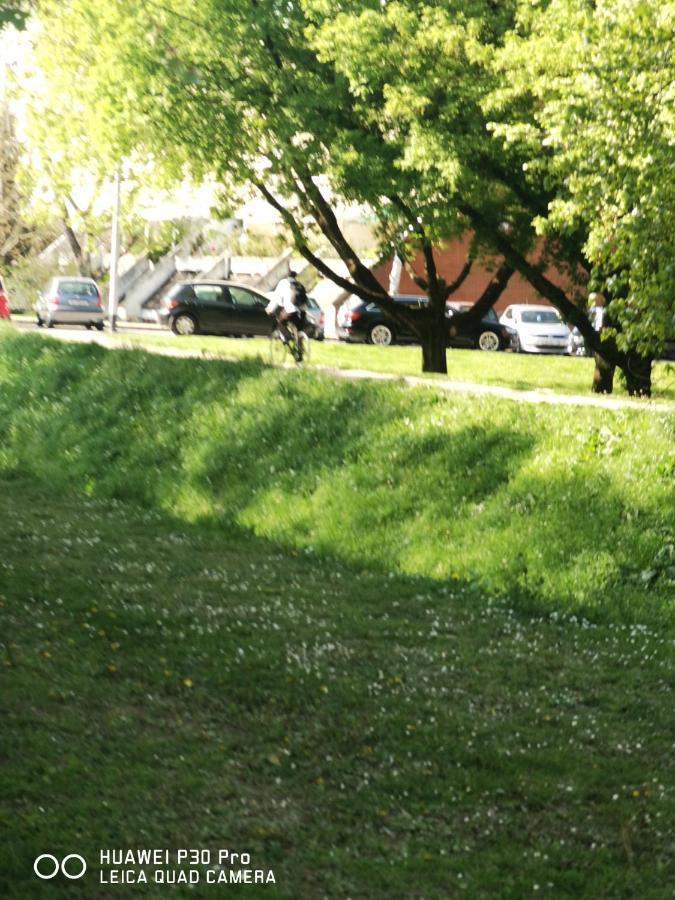 Appartamento Pearl #lake Jarun#green Area#free Parking#cafes, Tram To City, Markets#balcony&sunny&easy Self Check In 24-7 Zagabria