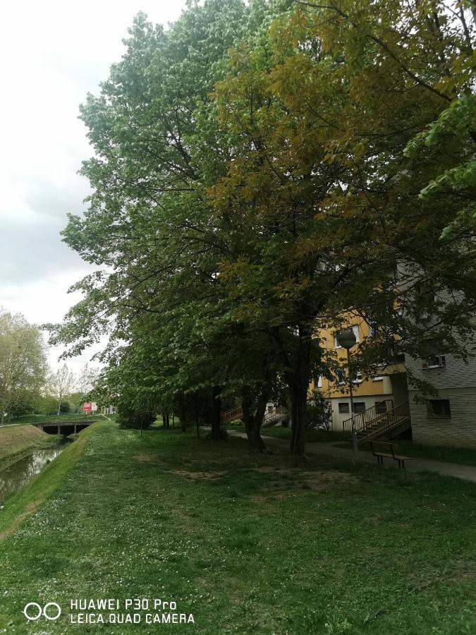 Pearl #lake Jarun#green Area#free Parking#cafes, Tram To City, Markets#balcony&sunny&easy Self Check In 24-7 Appartamento *