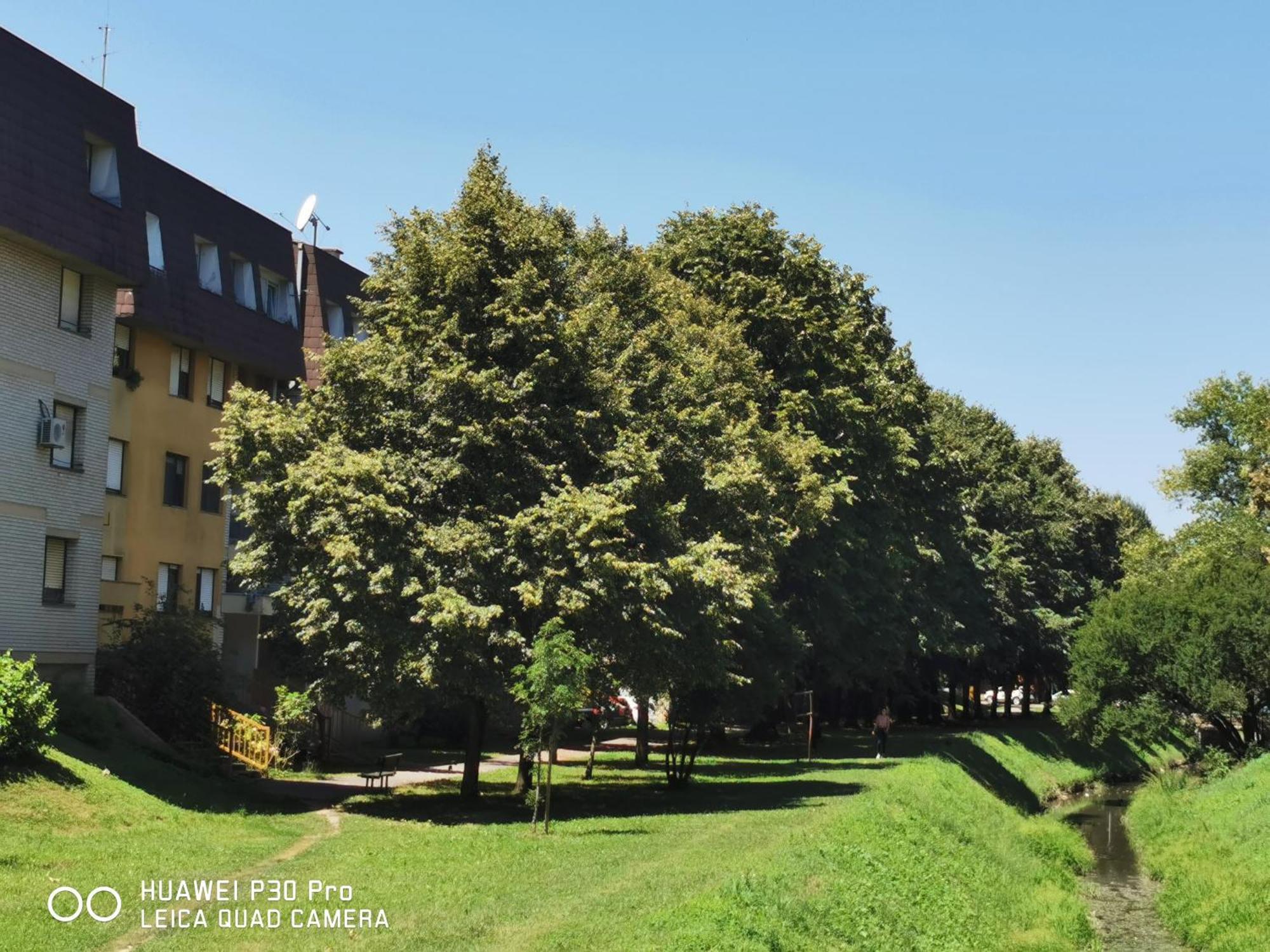 Appartamento Pearl #lake Jarun#green Area#free Parking#cafes, Tram To City, Markets#balcony&sunny&easy Self Check In 24-7 Zagabria